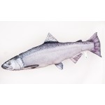 Gaby Chinook Salmon